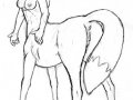 equinevixtaur.jpg